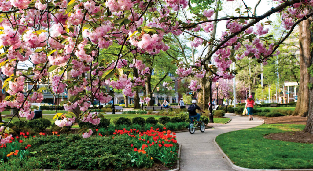Morristown